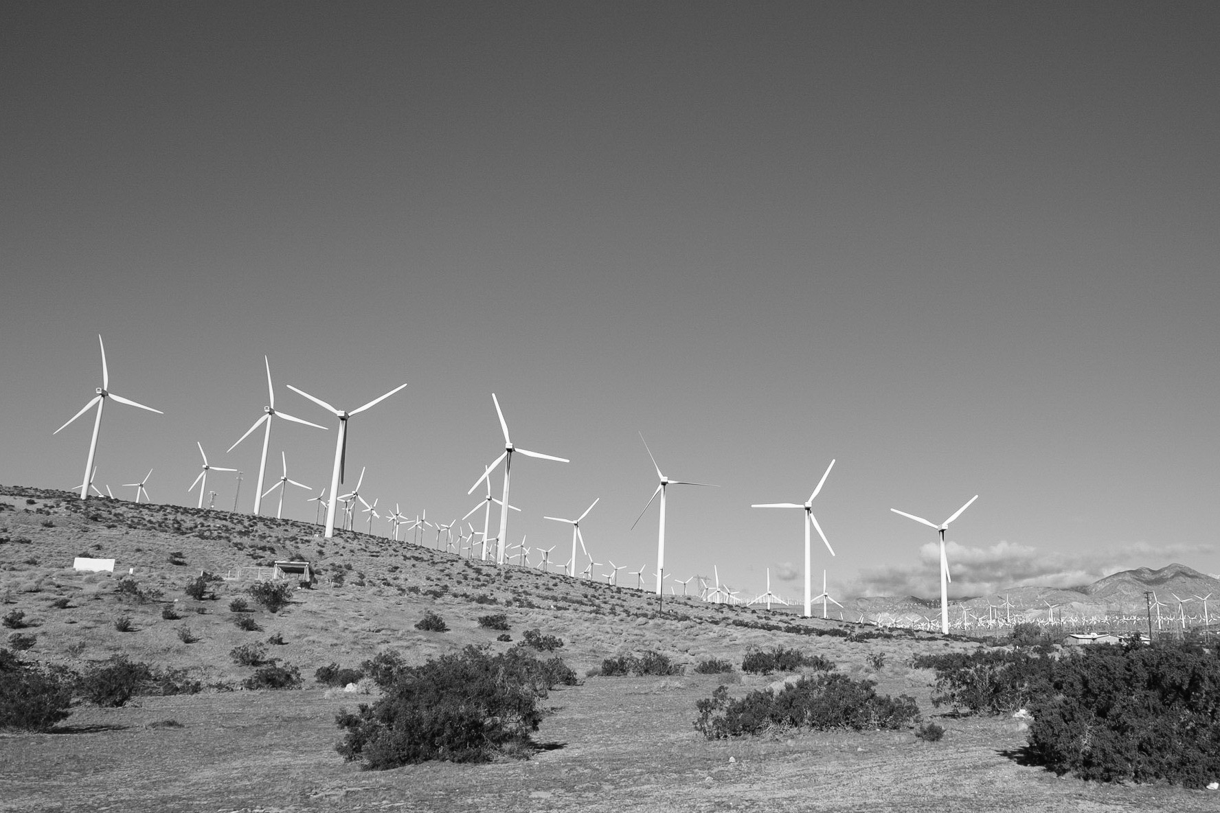 windmill-farm-palm-springs-ca-black-and-white-photography-zach-barocas