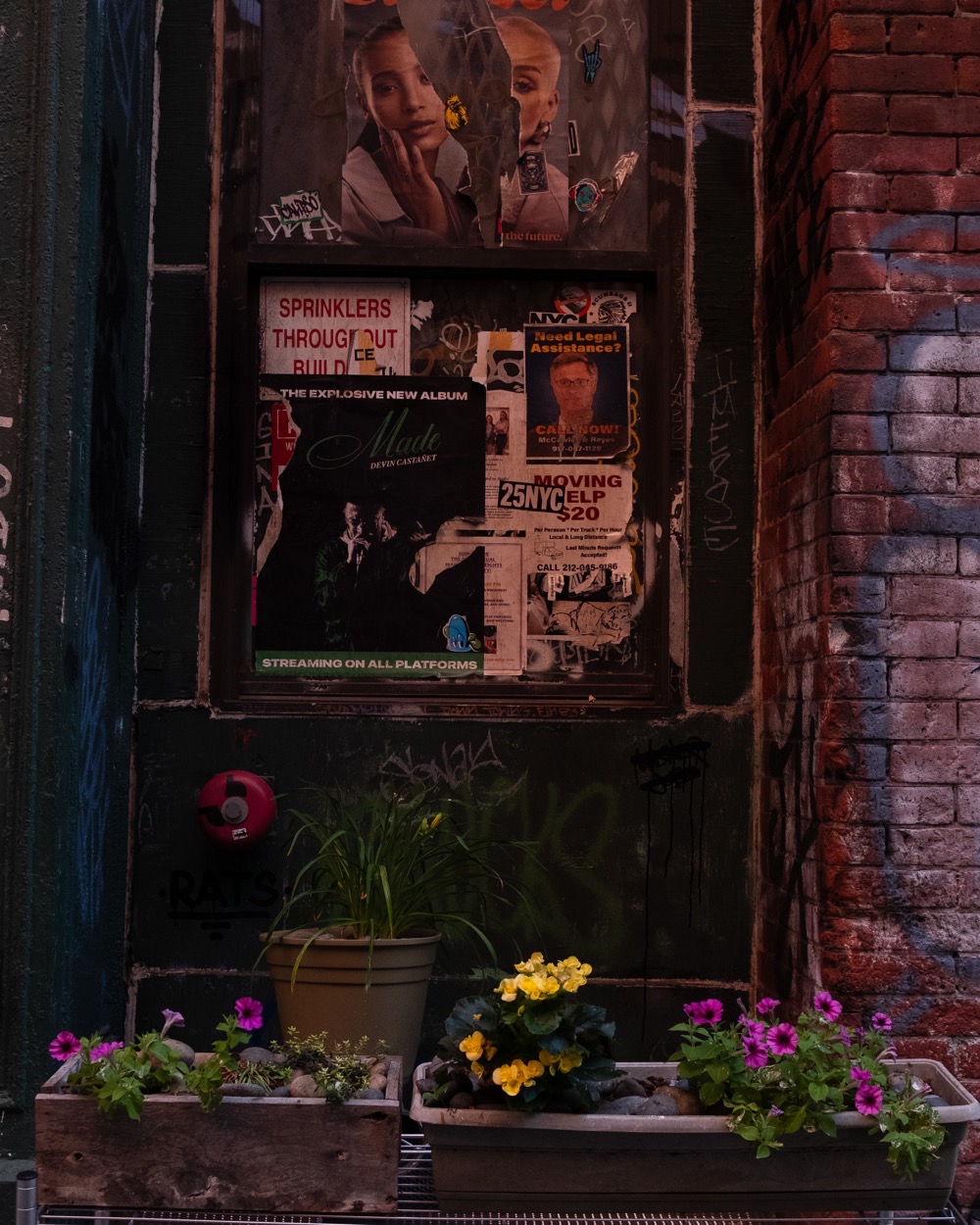 Tribeca manhattan nyc alley staple street landscape color photography zach barocas
